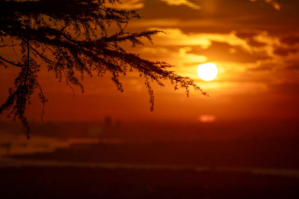 City of Istanbul at sunset, Turkey.