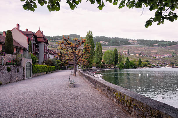 istock Spring Eveing Promenade in Cully, on Lac Leman, Switzerland 185214684