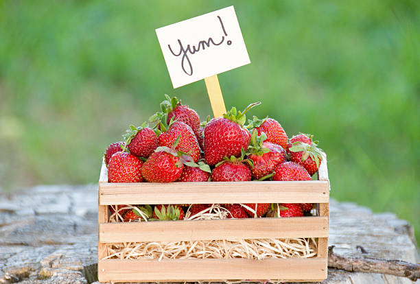 istock Home grown organic strawberries 185215013