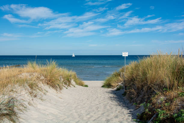 istock Path between the sand dunes overlooking the sea and a  ship 1852153005