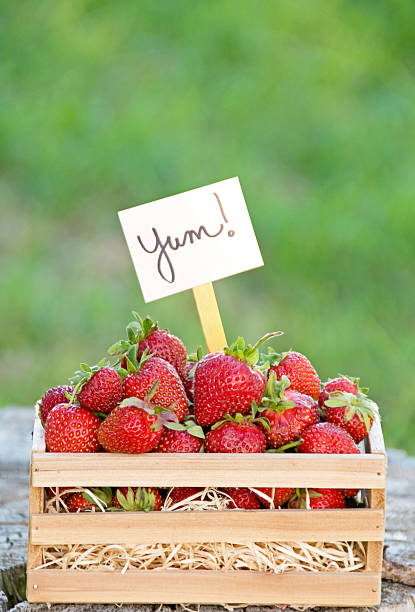istock Home grown organic strawberries 185215376