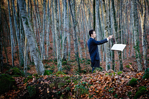 Young conductor in a forest of beeches