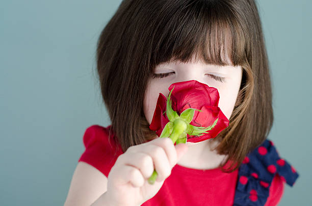 kleines mädchen bekommen eine einzelne rose - child little girls single flower flower stock-fotos und bilder