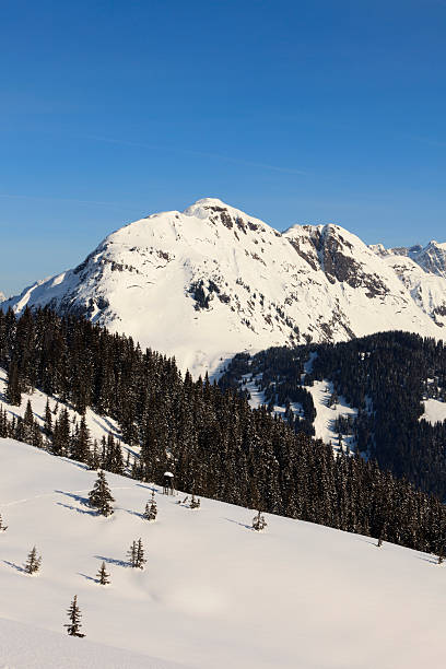 istock snow covered mountain range in the Austrian Alps 185215943