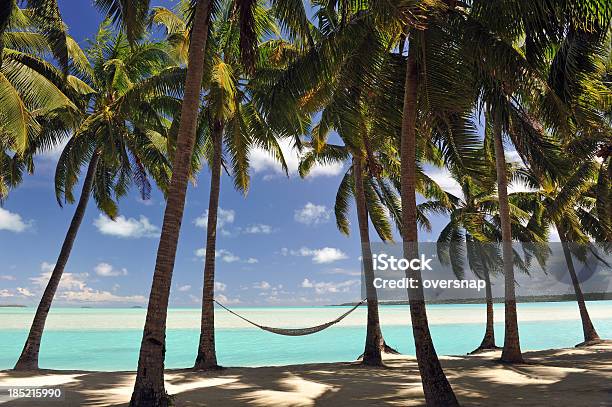 La Isla Del Pacífico Hamaca Foto de stock y más banco de imágenes de Aitutaki - Aitutaki, Islas de Cook, Palaos