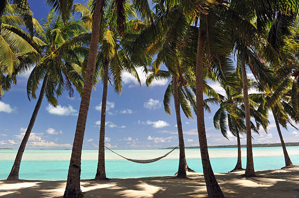 Pacific Island hammock A hammock hangs in the shade of Coconut Palms  beside a tranquil turquoise lagoonSouth Pacific palau beach stock pictures, royalty-free photos & images