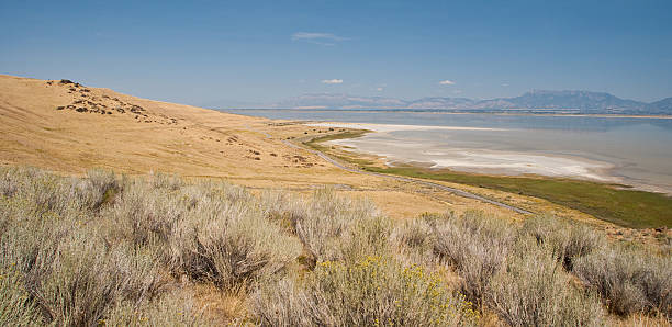Great Salt Lake Shoreline