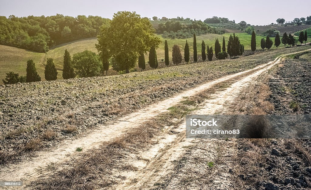 Dirt Country Road In Val D'Orcia Dirt country road in Val D'Orcia, Tuscany.  Agricultural Field Stock Photo