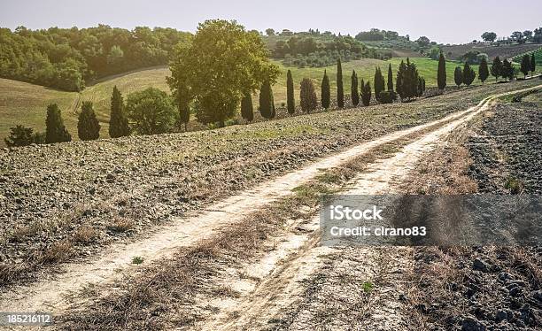 Dirt Country Road In Val Dorcia Stock Photo - Download Image Now - Agricultural Field, Agriculture, Arid Climate