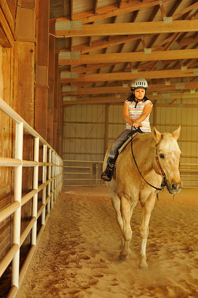 menina andando a cavalo em um celeiro - white purebred horse riding sports traditional sport - fotografias e filmes do acervo