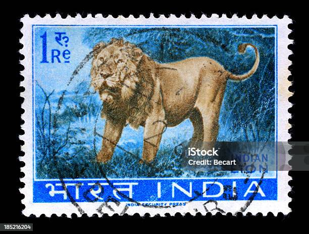 Postmark Indian Lion Stock Photo - Download Image Now - Animal, Arts Culture and Entertainment, Black Background