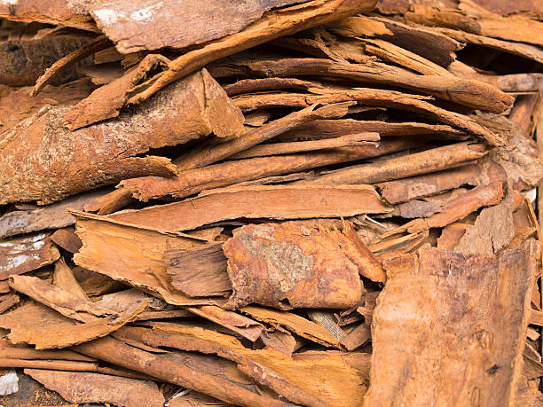 Cinnamon stock photo