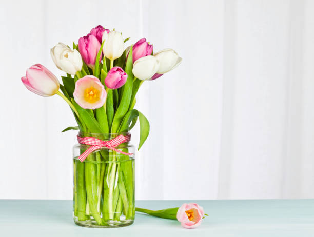 simple composition florale avec espace texte - flower pot photos et images de collection