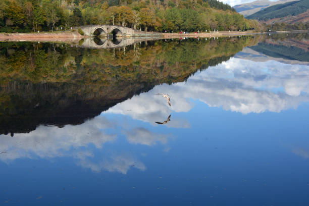 istock Aray Bridge, reflection lake with sea gull in flight 1852171813