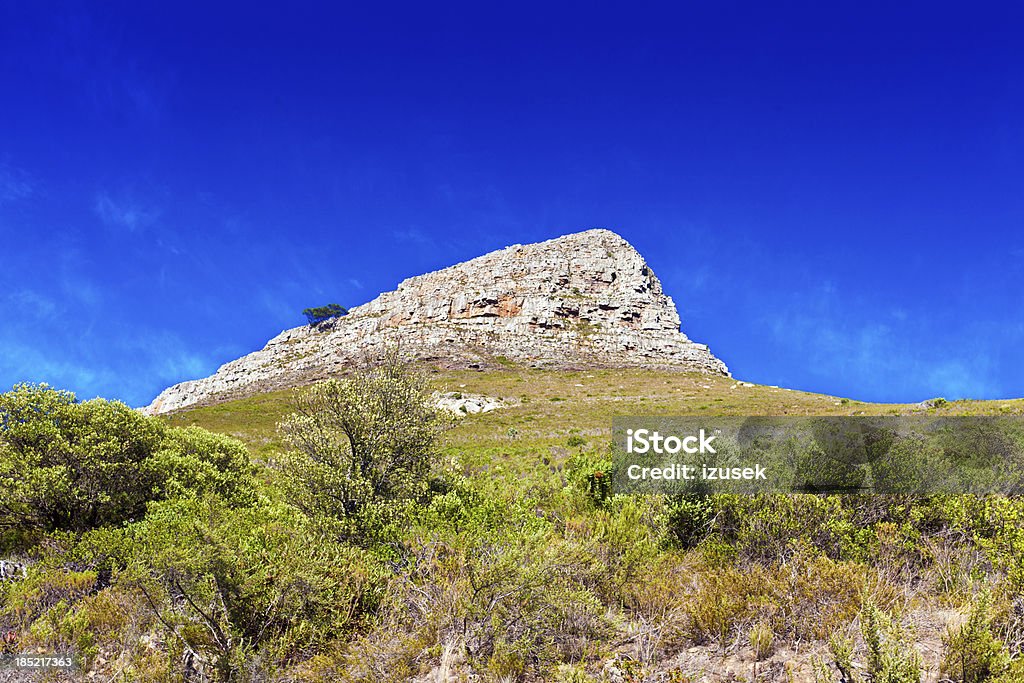 Lion Head in Cape Town View of the Lion Head in Cape Town part of the Table Mountain range in Cape Town, South Africa. Africa Stock Photo