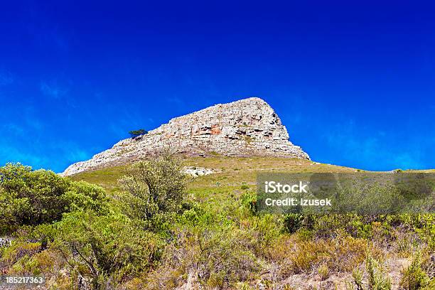 Lion Head In Cape Town Stock Photo - Download Image Now - Africa, African Culture, Architectural Dome