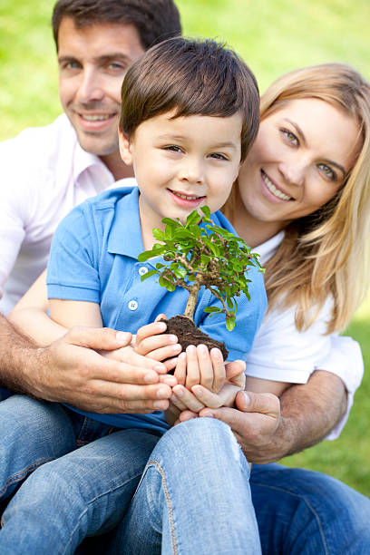 rodzina gospodarstwie drzewo bonsai - development tree human hand bonsai tree zdjęcia i obrazy z banku zdjęć