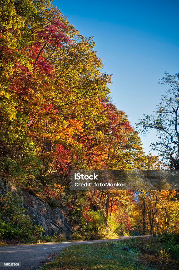 Colori autunnali, Blue Ridge Parkway, Carolina del Nord, Stati Uniti - Foto stock royalty-free di Albero