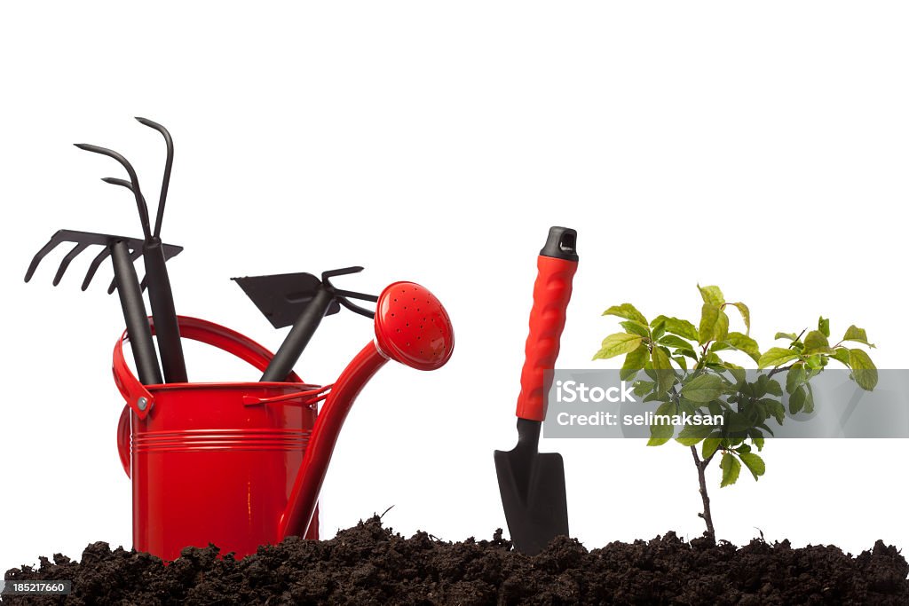 Gardening equipmnets in watering can on dirt, white background Rake Stock Photo