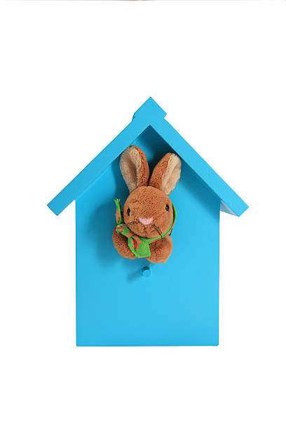 bunny em um ninho de pássaros - birdhouse birds nest box isolated - fotografias e filmes do acervo