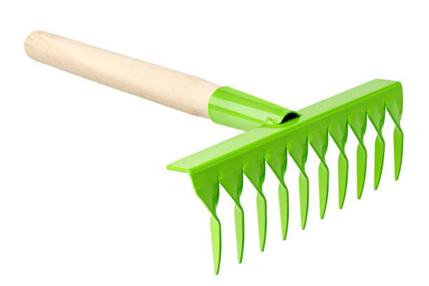 Green metal rake with wooden handle, garden tool, isolated on white background