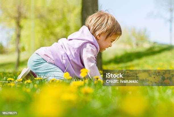 Foto de Criança Agachamento No Campo De Dentedeleão e mais fotos de stock de 12-17 meses - 12-17 meses, Amarelo, Bebê