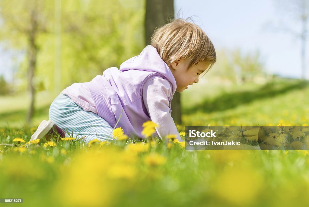 Ребенка Ползать в Одуванчик поле - Стоковые фото 12-17 месяцев роялти-фри