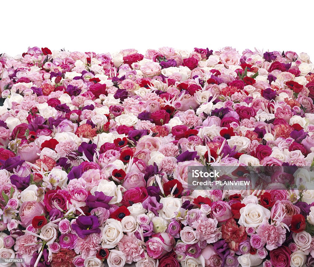 Kwiaty - Zbiór zdjęć royalty-free (Usłany różami)