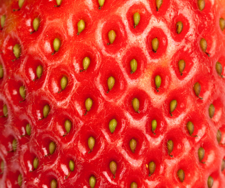 A closeup picture of the side of a strawberry.