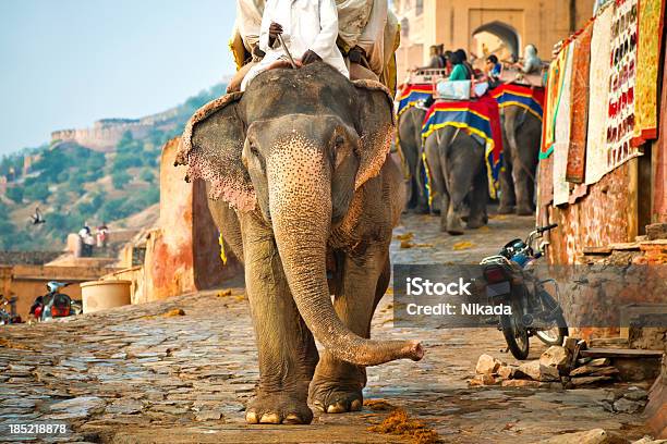 Elefanti In India - Fotografie stock e altre immagini di Jaipur - Jaipur, India, Elefante