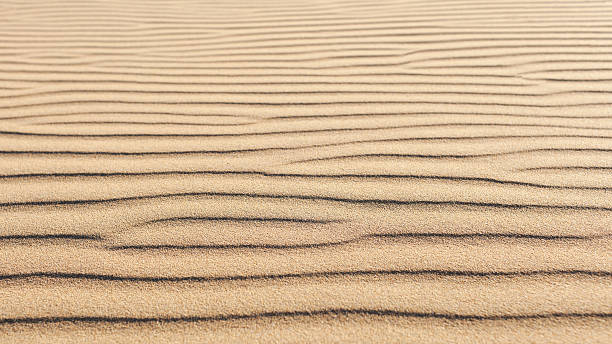 vagues de sable - sahara desert coastline wind natural pattern photos et images de collection