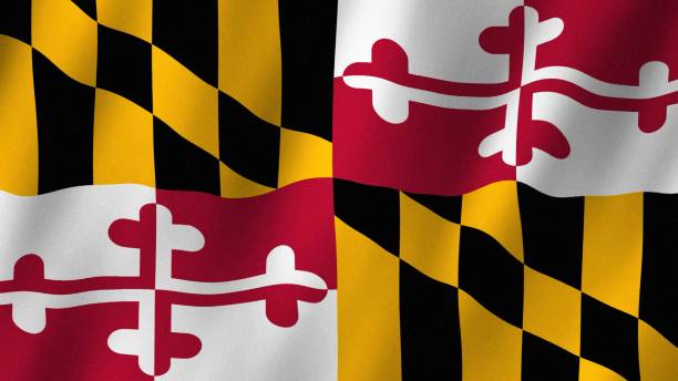 bandeira de maryland acenando ao vento, bandeira de imagens de maryland - maryland flag state maryland state flag - fotografias e filmes do acervo