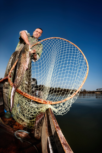 Fisherman in his boat with fishing net and catfish in it.