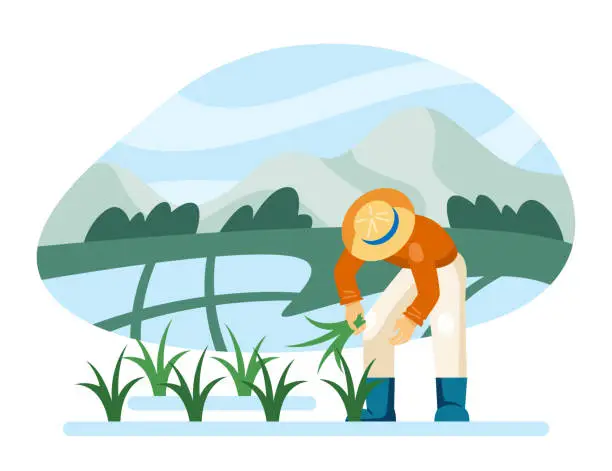 Vector illustration of Professional man in uniform and protective hat working on rice plantation