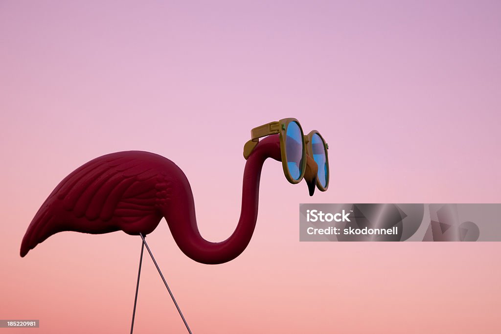 Plastic Pink Flamingo on a Lawn at Sunset This is a photo of a plastic pink flamingo with sunglasses at sunset. The focus is on the flamingo and falls off in the background.Click on the links below to view lightboxes. Plastic Flamingo Stock Photo