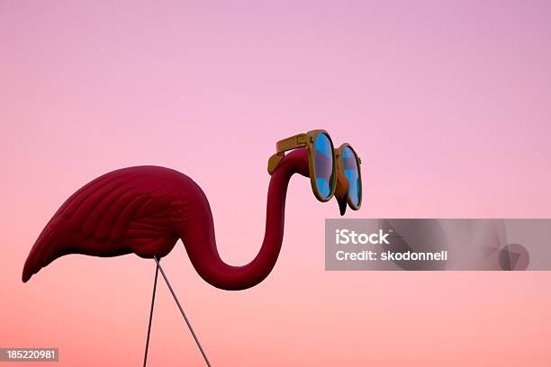 Plastic Pink Flamingo On A Lawn At Sunset Stock Photo - Download Image Now - Plastic Flamingo, Humor, Bird