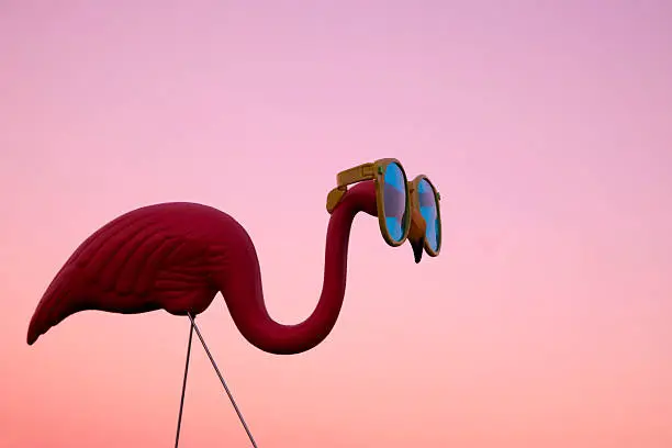 Photo of Plastic Pink Flamingo on a Lawn at Sunset