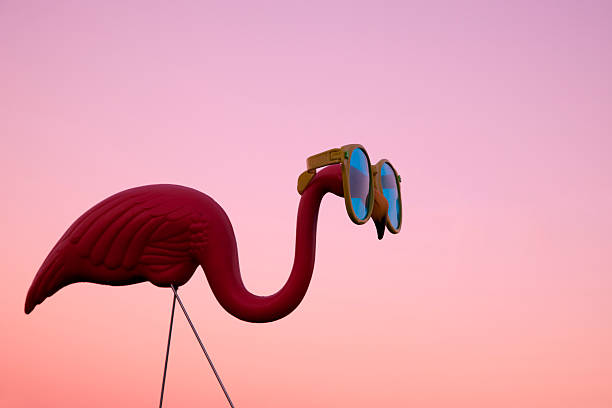 flamingo de plástico rosa na relva ao pôr do sol - funny bird imagens e fotografias de stock