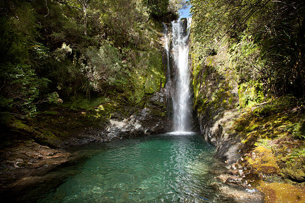 cascada, boulder lake, parque nacional de kahurangi, nueva zelanda - kahurangi fotografías e imágenes de stock