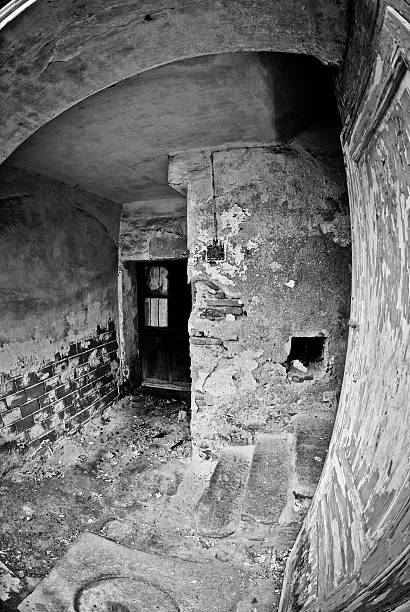istock Abandoned house fisheye black and white 185221151