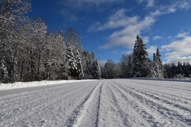 istock La route en hiver 1852217994