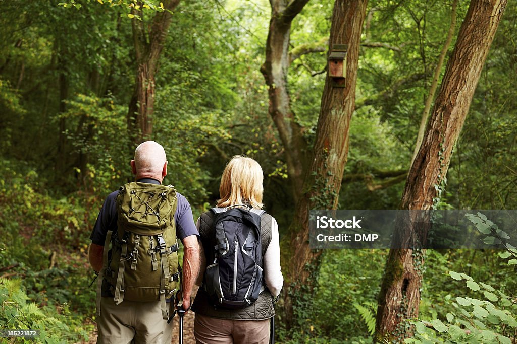 Senior par de caminatas en la naturaleza - Foto de stock de 70-79 años libre de derechos