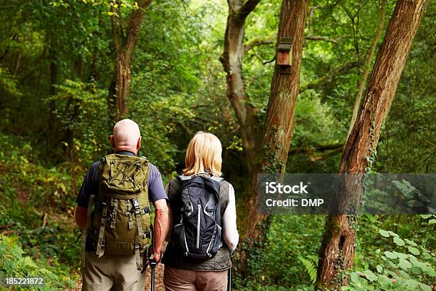 年配のカップルには自然のハイキング - 2人のストックフォトや画像を多数ご用意 - 2人, 70代, アクティブシニア