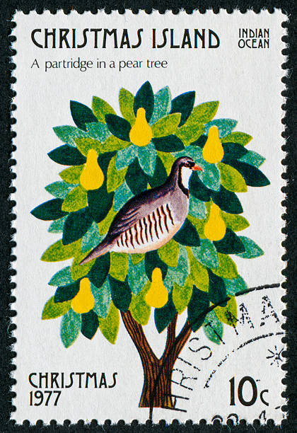 partridge in der birnbaum stamp - first day of christmas stock-fotos und bilder