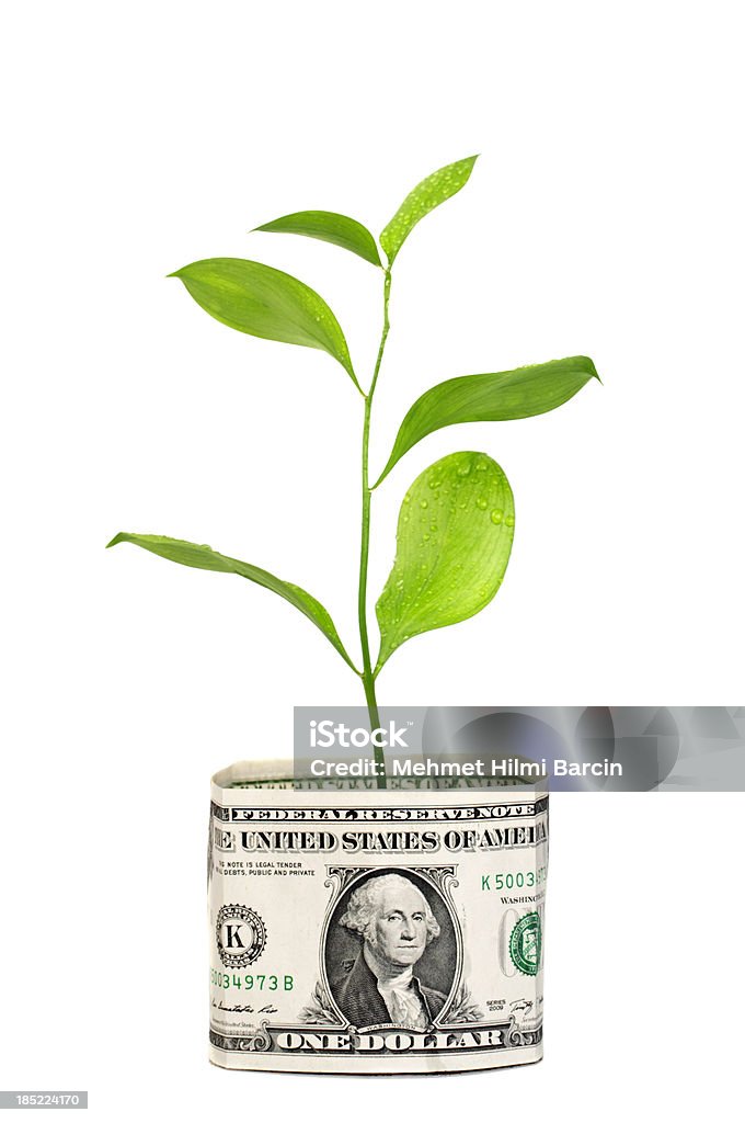 Árbol del dinero en el período de dólares - Foto de stock de Agricultura libre de derechos
