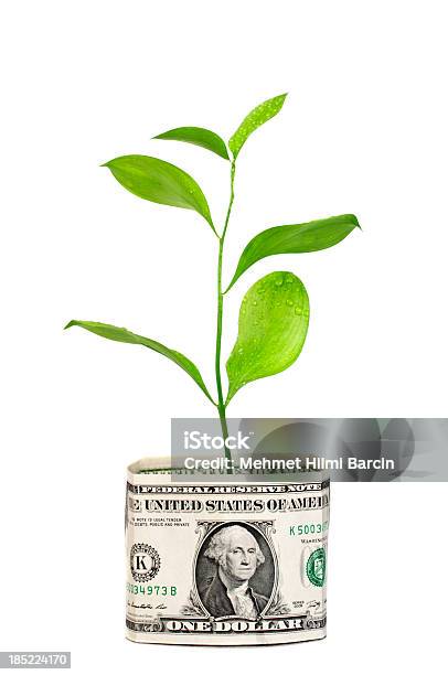 Árbol Del Dinero En El Período De Dólares Foto de stock y más banco de imágenes de Agricultura - Agricultura, Agua, Ahorros