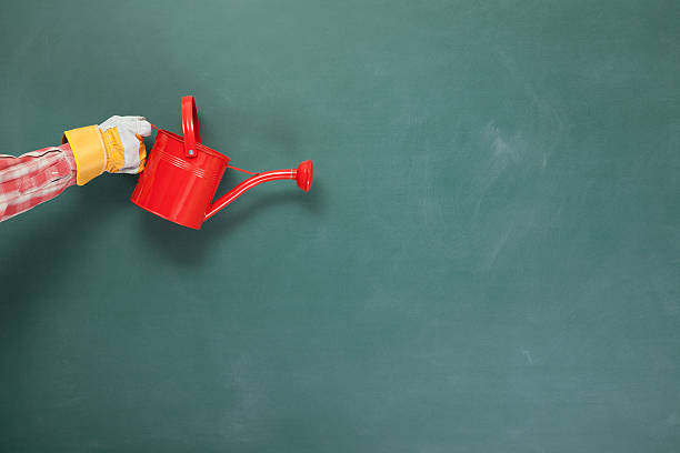 istock Watering can on green blackboard 185224371