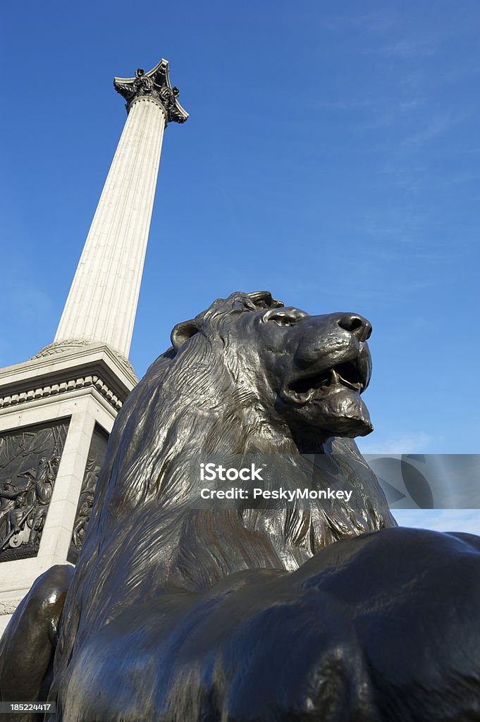 Trafalgar Square Lion and Nelson's Column London Trafalgar Square Lion looks fierce at the foot of Nelson's Column in London Animal Stock Photo