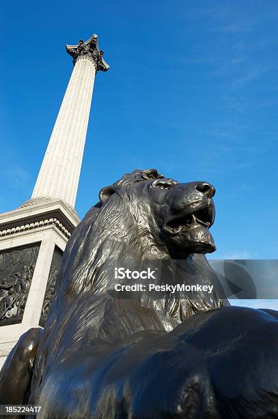 Trafalgar Square Lion And Nelsons Column London Stock Photo - Download Image Now - Animal, Blue, British Culture