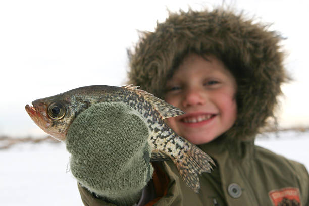 Niño feliz con pescado - foto de stock